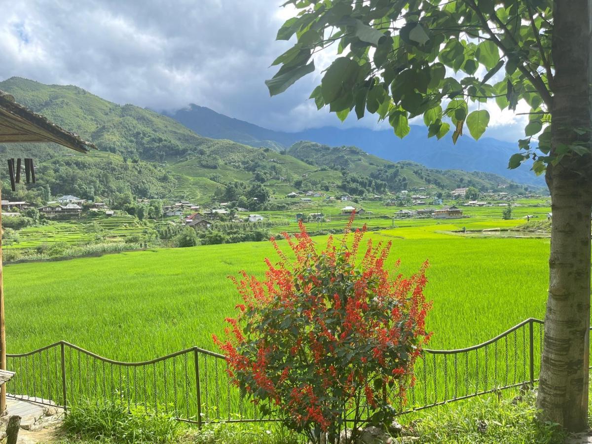 Гостевой дом Sapa Bamboo Eco Экстерьер фото