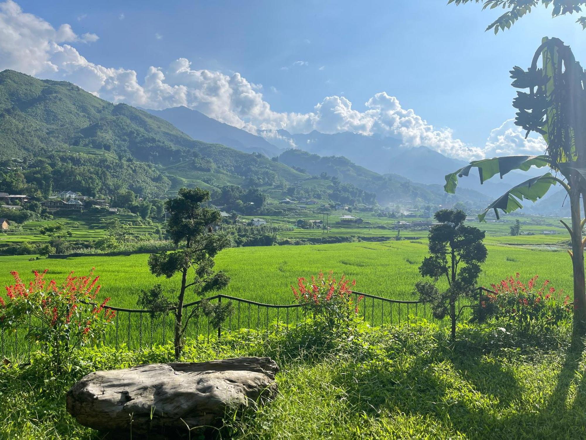 Гостевой дом Sapa Bamboo Eco Экстерьер фото